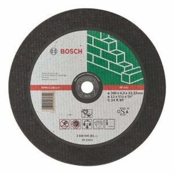 Bosch Zubehör 2608600381 - Mola per troncare diritta C 24 R BF, 300 mm, 22,23 mm #1 image