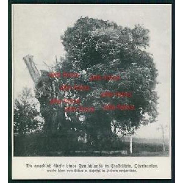 Ausschnitt von 1913 -  Linde in Staffelstein #1 image