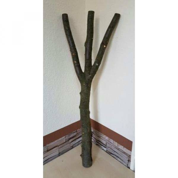 Baumstamm Linde verzweigt Ast Stamm Holz Skulptur Deko Terrarium Natur 85 cm #1 image