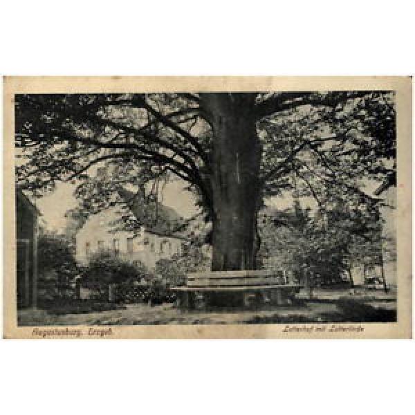 AUGUSTUSBURG Erzgebirge Sachsen um 1920 Lotterhof mit Lotter-Linde alter Baum #1 image