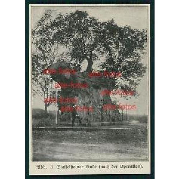 Ausschnitt von ca 1915 -  Staffelsteiner Linde #1 image