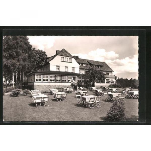 schöne AK Neuhaus, Rückansicht des Hotels Zur Linde 1965 #1 image