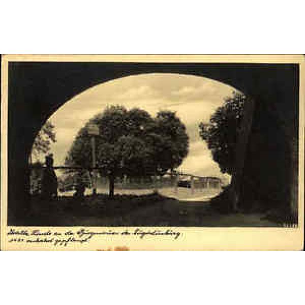 Augustusburg alte AK 1941 Durchblick zur uralten Linde Baum an der Burgmauer #1 image