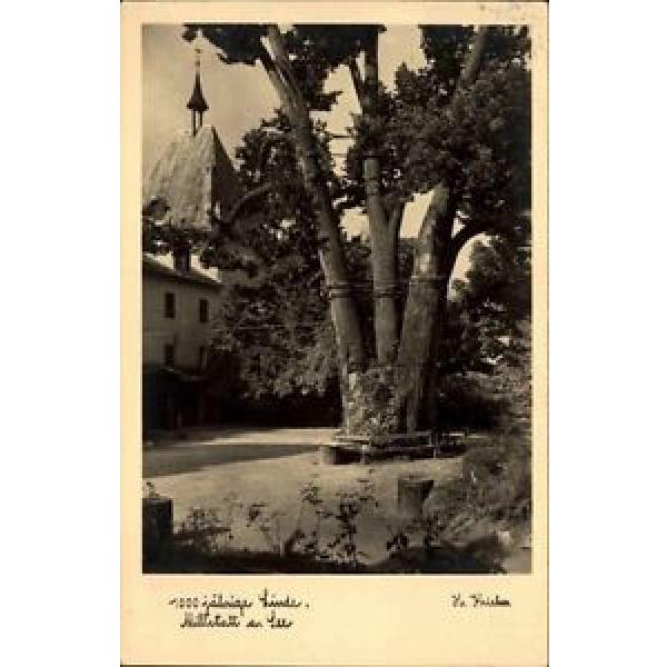 Millstatt am See Österreich Kärnten AK 1940 1000jährige Linde Baum Wahrzeichen #1 image