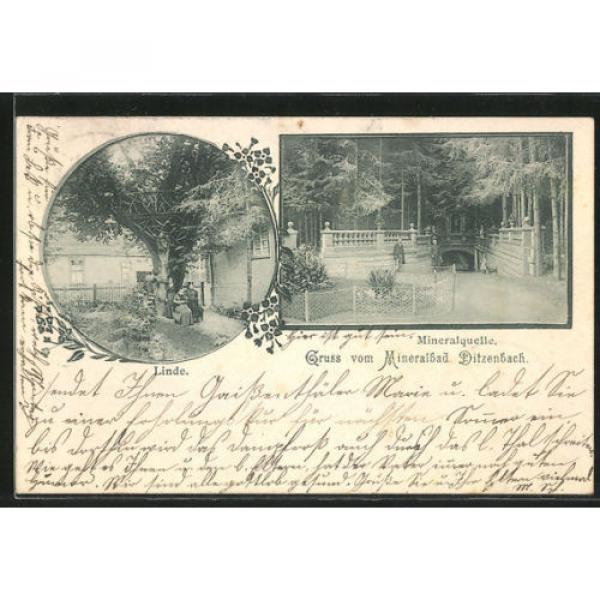 alte AK Bad Ditzenbach, Mineralquelle, Linde 1902 #1 image