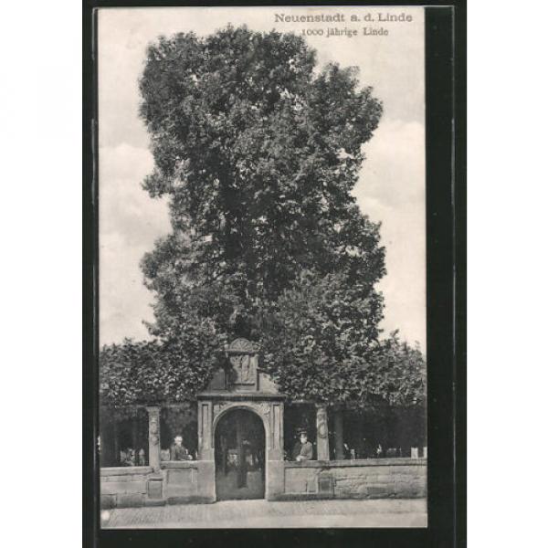 tolle AK Neuenstadt, 1000 jährige Linde, Eingangsportal zum Areal 1911 #1 image