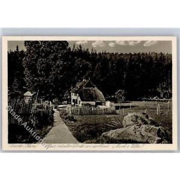 51292635 - Schierke am Brocken Haus mit alter Linde Mooks Villa Preissenkung #1 image