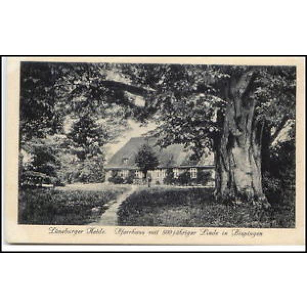 Lüneburg Lüneburger Heide um 1920 Pfarrhaus 500 j. Linde Baum in Bispingen AK #1 image