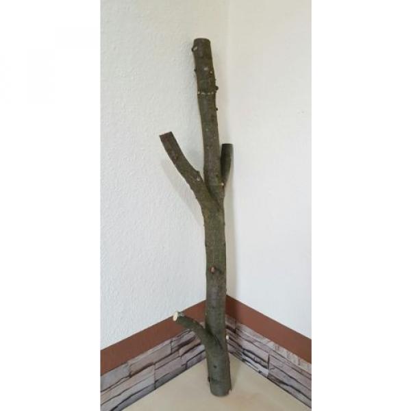 Baumstamm Linde verzweigt Ast Stamm Holz Skulptur Deko Terrarium Natur 89 cm #2 image