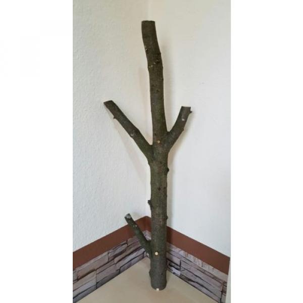 Baumstamm Linde verzweigt Ast Stamm Holz Skulptur Deko Terrarium Natur 89 cm #3 image