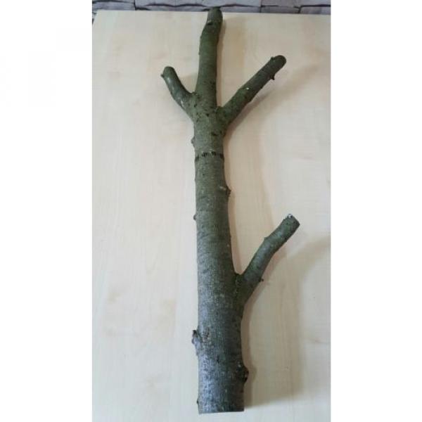 Baumstamm Linde verzweigt Ast Stamm Holz Skulptur Deko Terrarium Natur 89 cm #6 image
