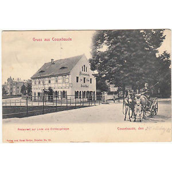 AK DRESDEN Cossebaude 1912 Restaurant zur Linde mit Eselsfuhrwerk   ( 44 #1 image