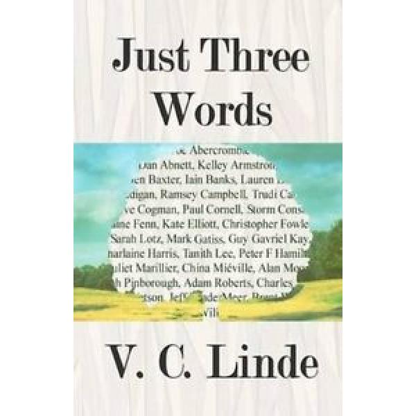 NEW Just Three Words by V.C. Linde Paperback Book (English) Free Shipping #1 image
