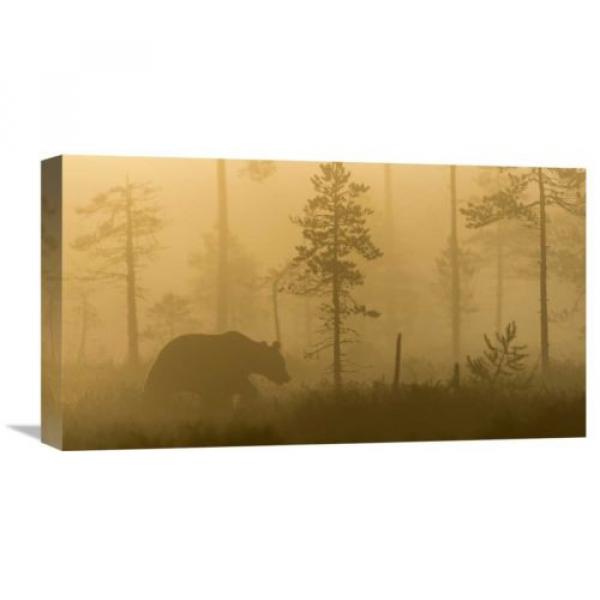 Global Gallery &#039;Morning Fog&#039; by Svein Ove Linde Graphic Art on Wrapped Canvas #1 image