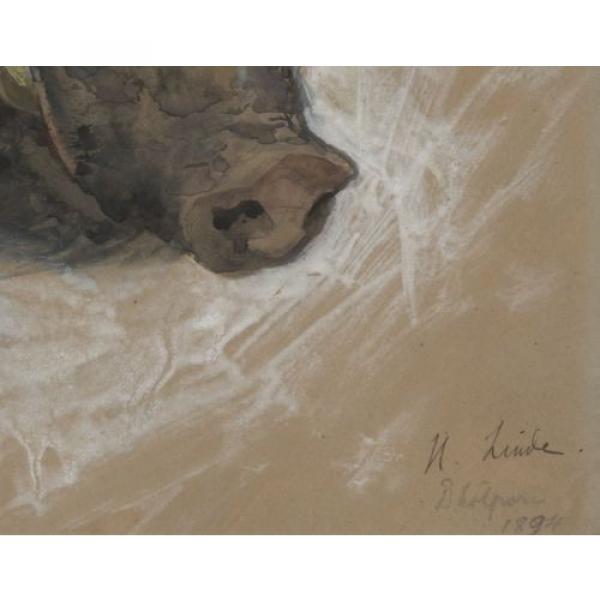 Hermann Linde * 1863: Indian wild boar. Watercolor. Dholpur / India 1894 #5 image
