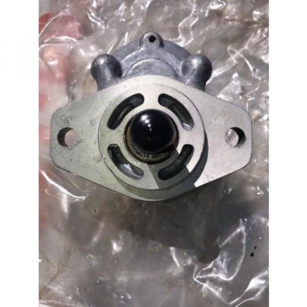 New Parker Hydraulic Gear Pump D09AA2A X0706-00634 #6 image