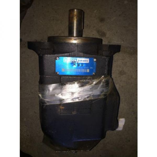 Denison Hydraulics Pump T6DCM B20 B6 R00C1 #1 image