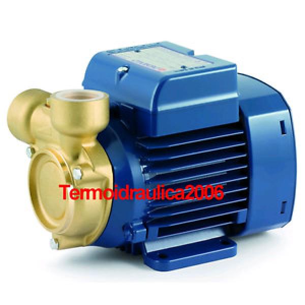Peripheral Water Pump PQ 60-Bs 0,5Hp Brass body impeller 400V Pedrollo Z1 #1 image