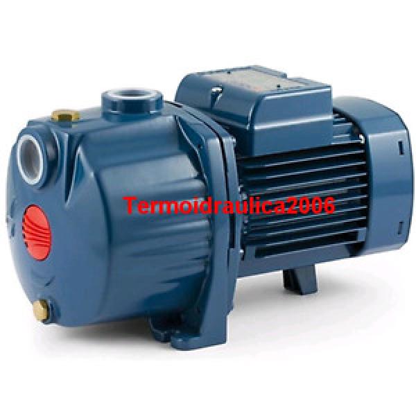Multi Stage Centrifugal Electric Water Pump 2CPm 80-C 0,5Hp 240V Pedrollo Z1 #1 image
