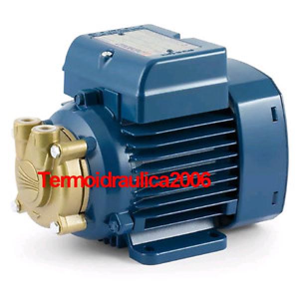 Electric Water Pump with peripheral impeller PV 55 0,25Hp 400V Pedrollo Z1 #1 image