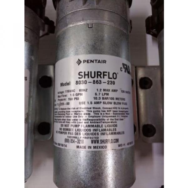 Shurflo 8030-863-239 120V Replacement Pump - Carpet Cleaning Machine #2 image