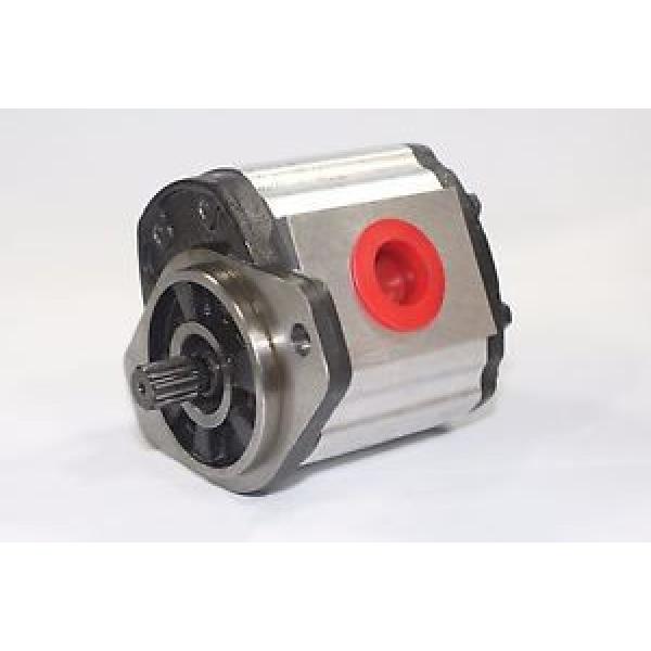 Hydraulic Gear Pump 1PN192CG1S23E3CNXS 19.2 cm³/rev  250 Bar Pressure Rating #1 image