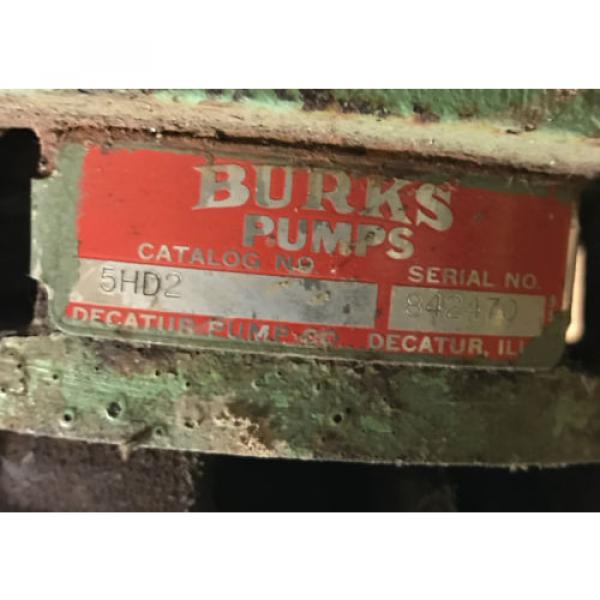 Burks Pump with 1/2 hp Motor 5HD2 PUMP   48 61300 38 MOTOR 3450RPM #9 image