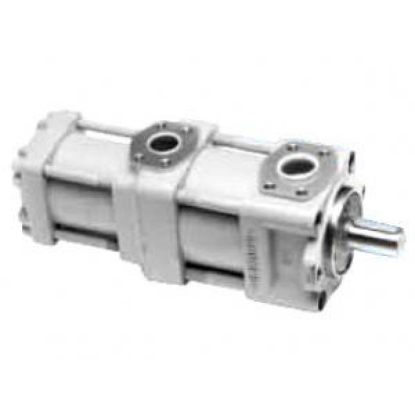 QT5223-50-6.3F India QT Series Double Gear Pump #1 image