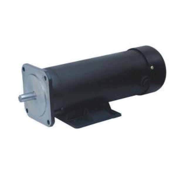 123ZYT Series Electric DC Motor 123ZYT-110-1000-1700 #1 image
