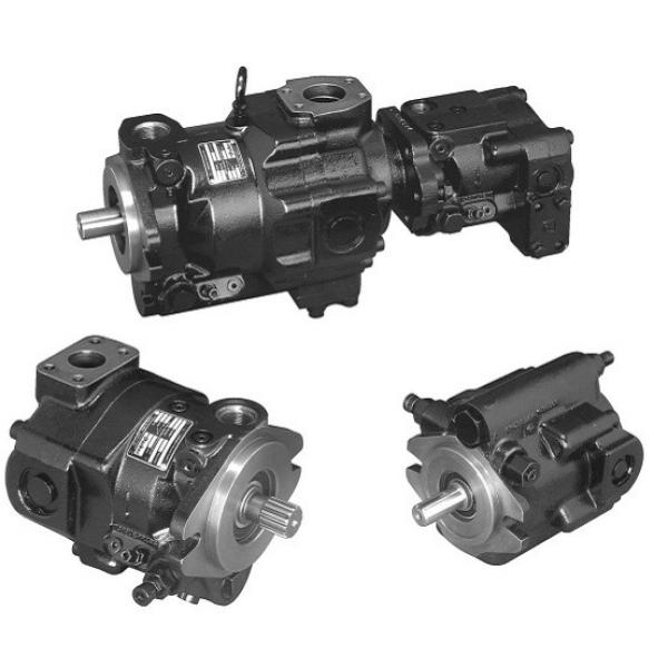 Plunger PV series pump PV20-2L1D-K02 #1 image
