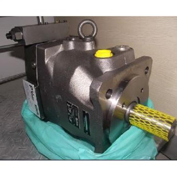 Plunger PV series pump PV20-1L1D-C00 #1 image