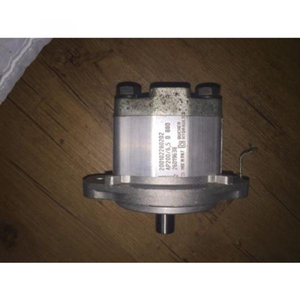 Bucher Hydraulic Gear Pump AP200/6,5 D 880 #2 image