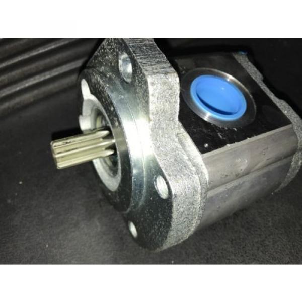 Hydraulic Egypt Singapore Pump Rexroth Gear 9510290040 15W17-7362 NEW #3 image