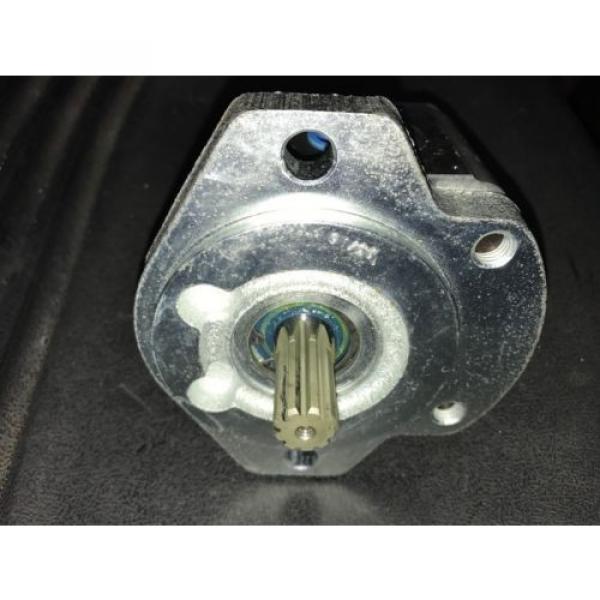 Hydraulic Egypt Singapore Pump Rexroth Gear 9510290040 15W17-7362 NEW #4 image
