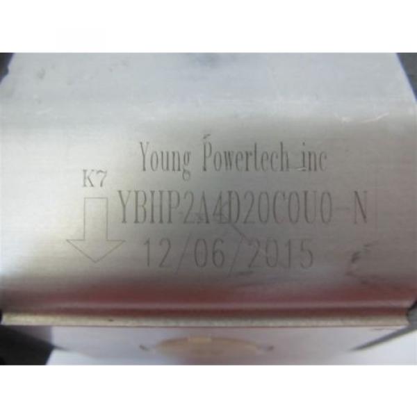 Young PowerTech Inc YBHP2A4D20C0U0-N, Hydraulic Pump #2 image