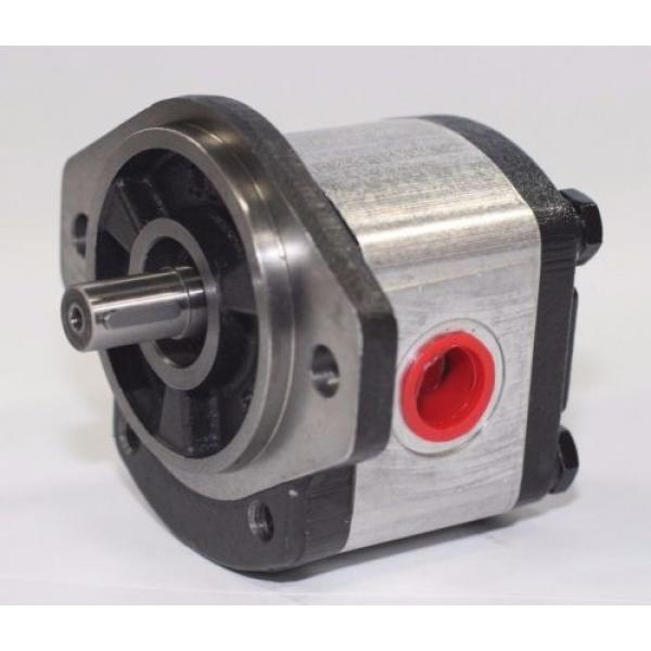 Hydraulic Gear Pump 1PN146CG1P13D3CNXS 14.6 cm³/rev 250 Bar Pressure Rating #1 image