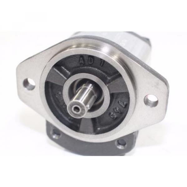 Hydraulic Gear Pump 1PN146CG1P13D3CNXS 14.6 cm³/rev 250 Bar Pressure Rating #2 image