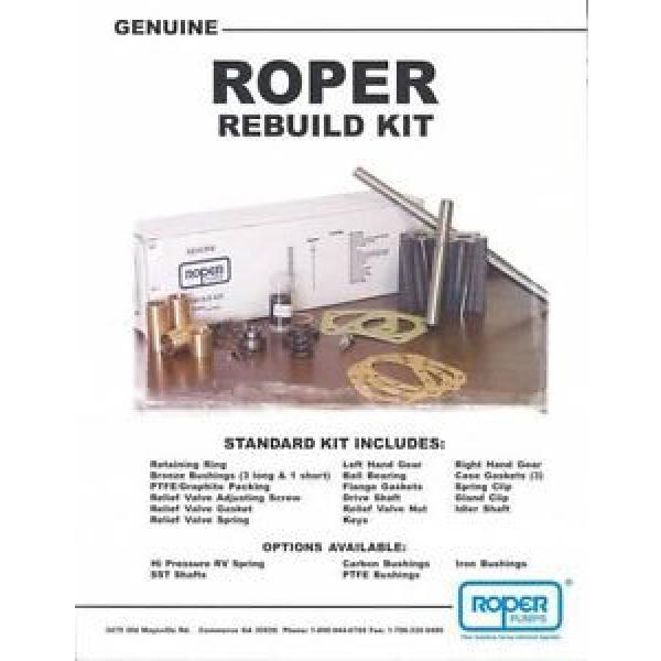 Roper Pump Rebuild Kit - N44-180 #1 image